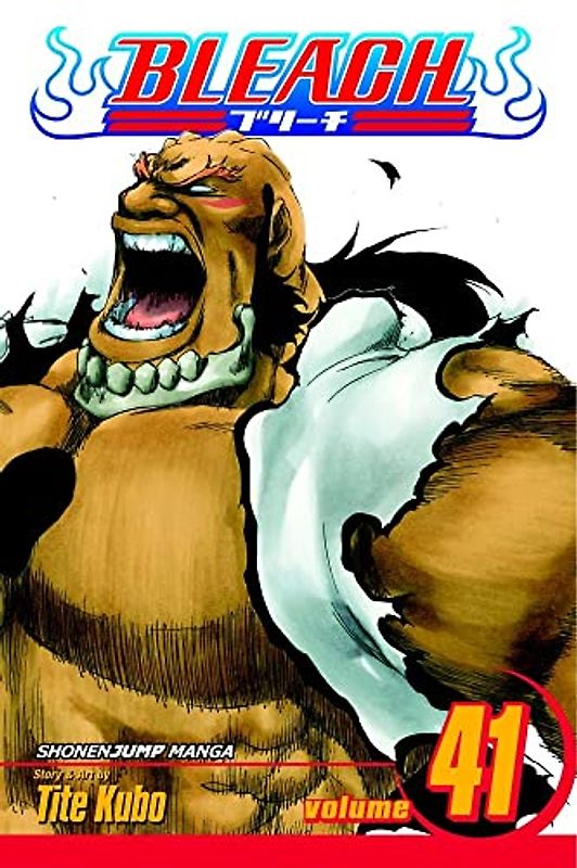 Bleach Volume 41: Heart