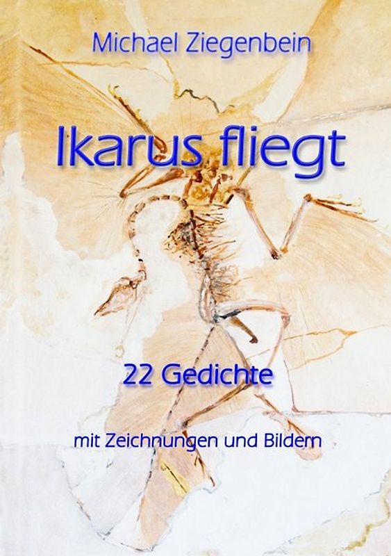Ikarus fliegt