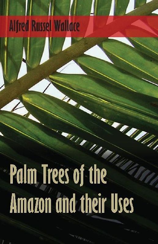Palm Trees of the Amazon and their Uses
