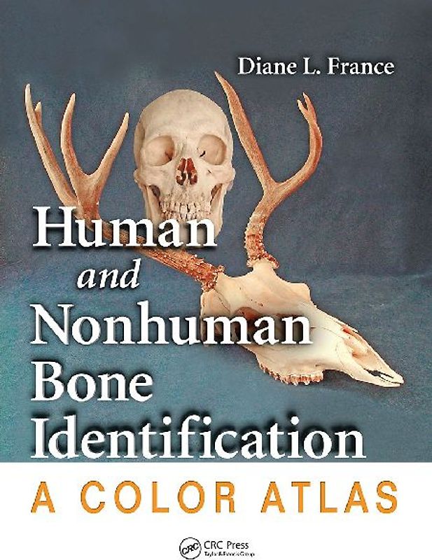 Human and Nonhuman Bone Identification