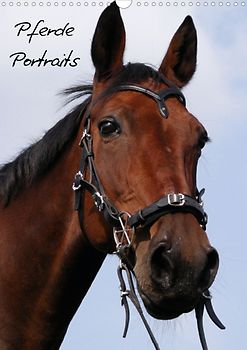 Pferde Portraits (Posterbuch DIN A4 hoch)