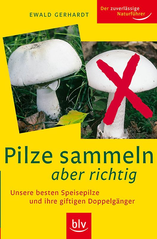 Pilze sammeln aber richtig