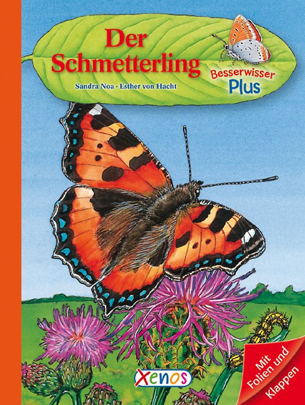 Besserwisser Plus - Der Schmetterling