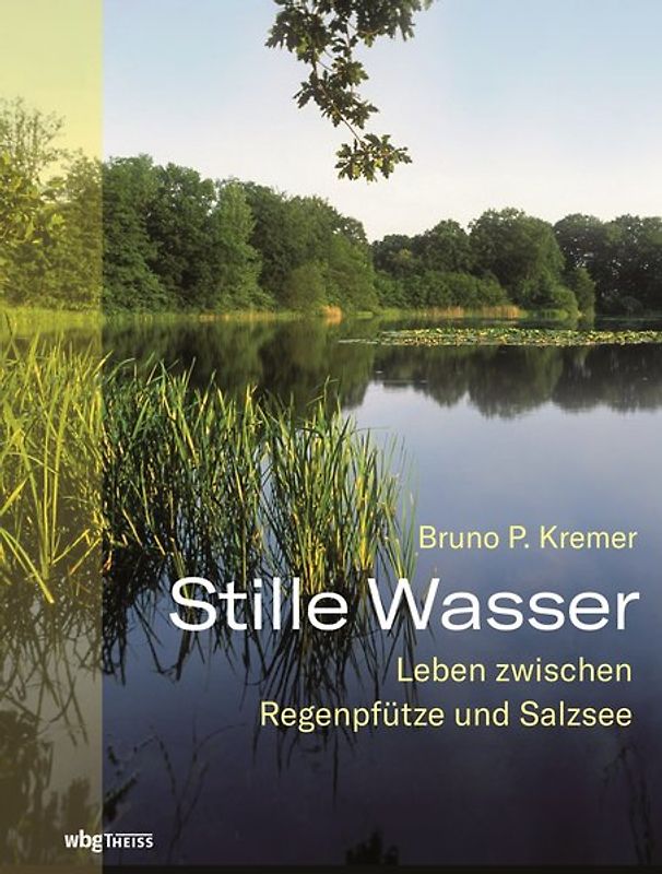 Stille Wasser