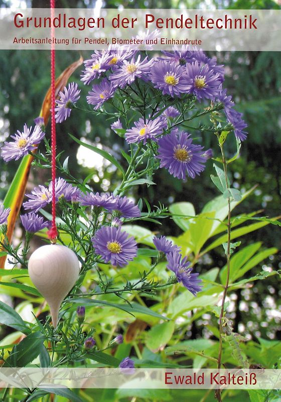 Grundlagen der Pendeltechnik