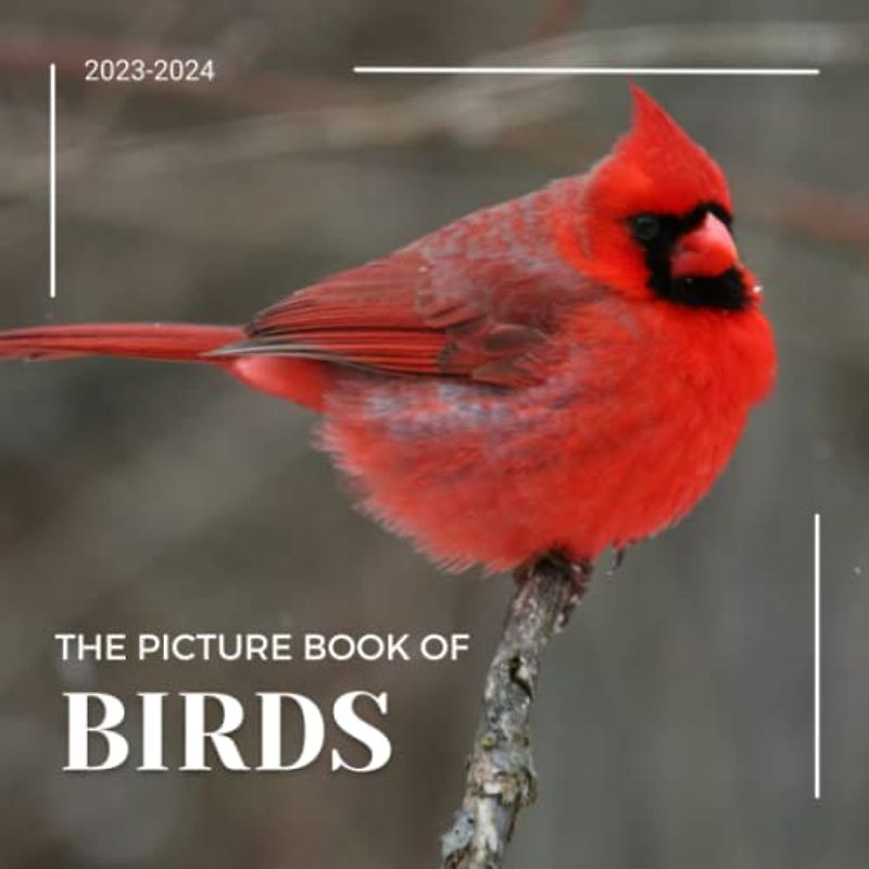 The Photograph Of Birds: A Beautiful Picture Book for Seniors With Alzheimer’s or Dementia. A Perfect Gift For Bird Lovers! (30 Premium Pictures With Names)