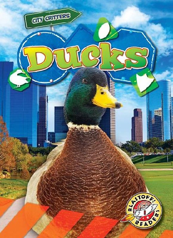 Ducks