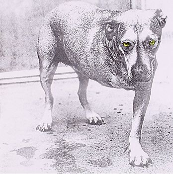 Alice in Chains - Alice in Chains