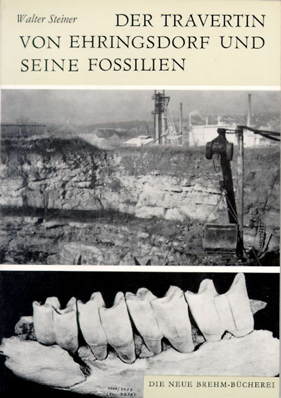 Der Travertin von Ehringsdorf und seine Fossilien