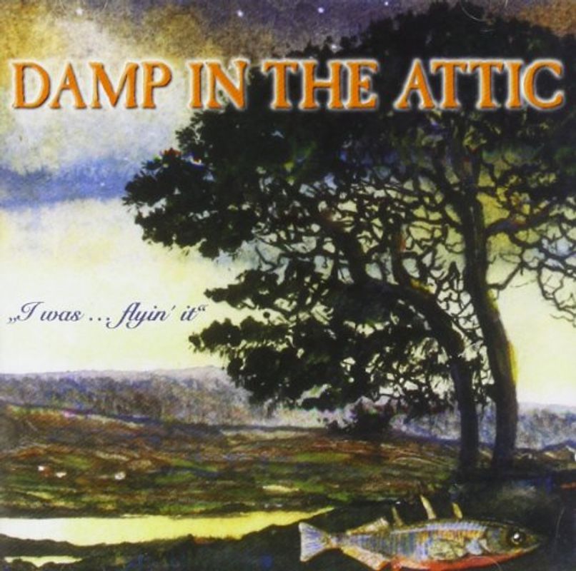 Damp in the Attic - I Was...Flying It