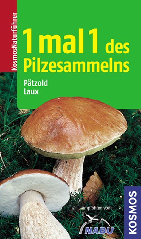 1 mal 1 des Pilzesammelns