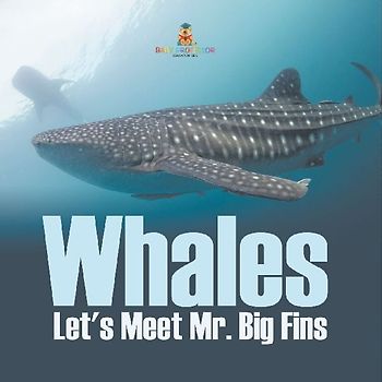 Whales - Let's Meet Mr. Big Fins