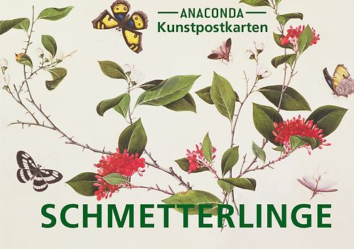 Postkarten-Set Schmetterlinge