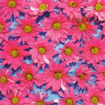 the Austerity Program - Black Madonna