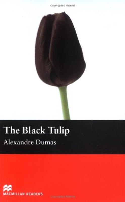 The Black Tulip