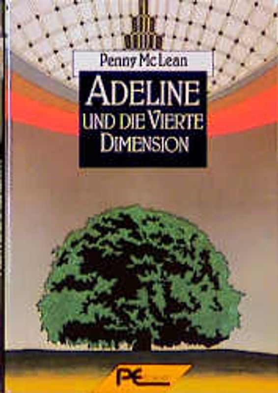 Adeline und die Vierte Dimension. Roman
