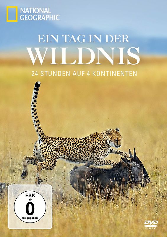 Ein Tag in der Wildnis - 24 Stunden auf 4 Kontinenten DVD
