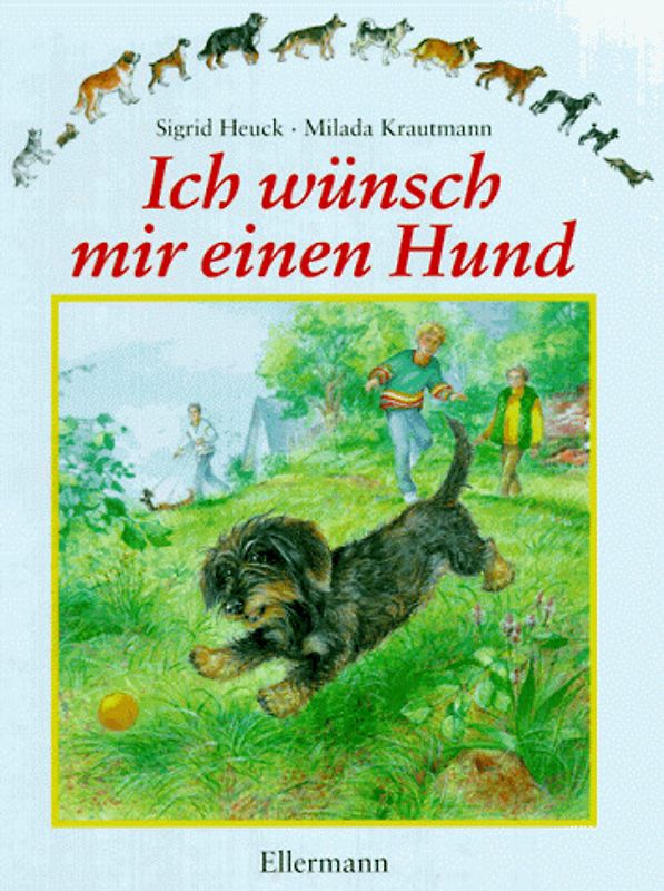 Ich wünsch mir einen Hund. Sachbilderbuch