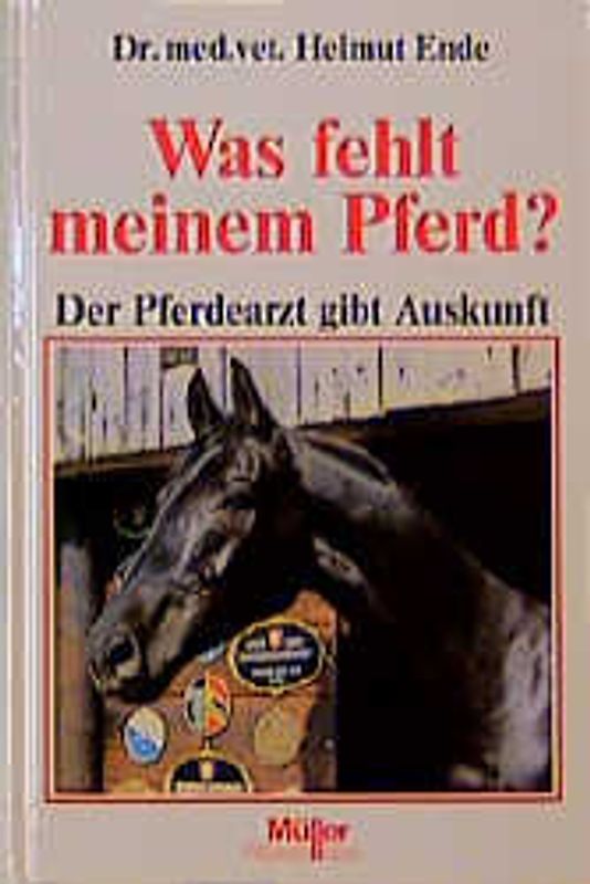 Was fehlt meinem Pferd?