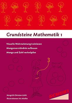Grundsteine Mathematik. Band 1
