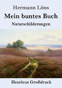 Mein buntes Buch (Großdruck)