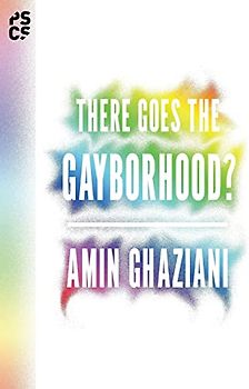 There Goes the Gayborhood? (Princeton Studies in Cultural Sociology, Band 68)