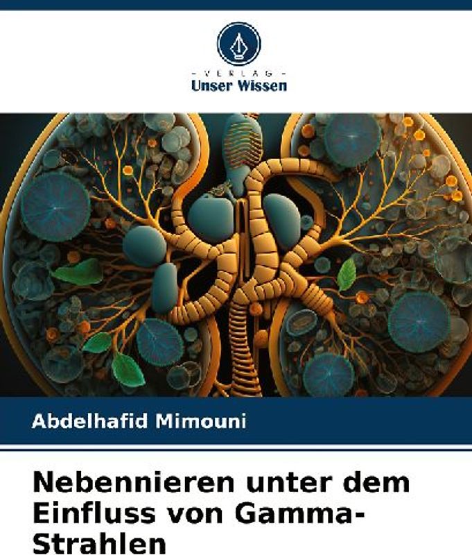 Nebennieren unter dem Einfluss von Gamma-Strahlen