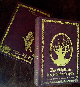 Im Schatten der Hexen VIII