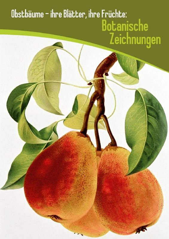 Obstbäume – ihre Blätter, ihre Früchte: Botanische Zeichnungen (Posterbuch DIN A2 hoch)