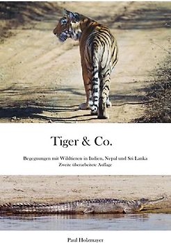 Tiger & Co.