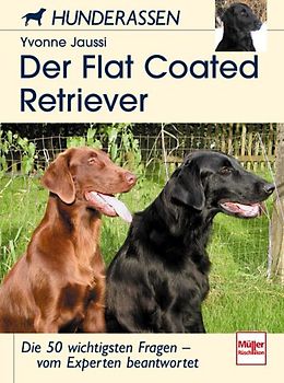 Der Flatcoated Retriever