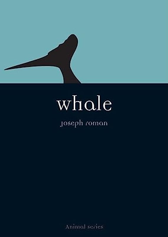 Whale (Reaktion Books - Animal)