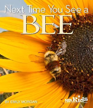 Next Time You See a Bee