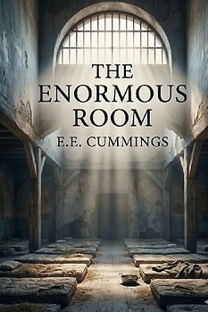 The Enormous Room