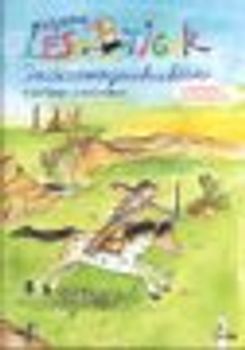 Kleine Lesetiger-Indianergeschichten