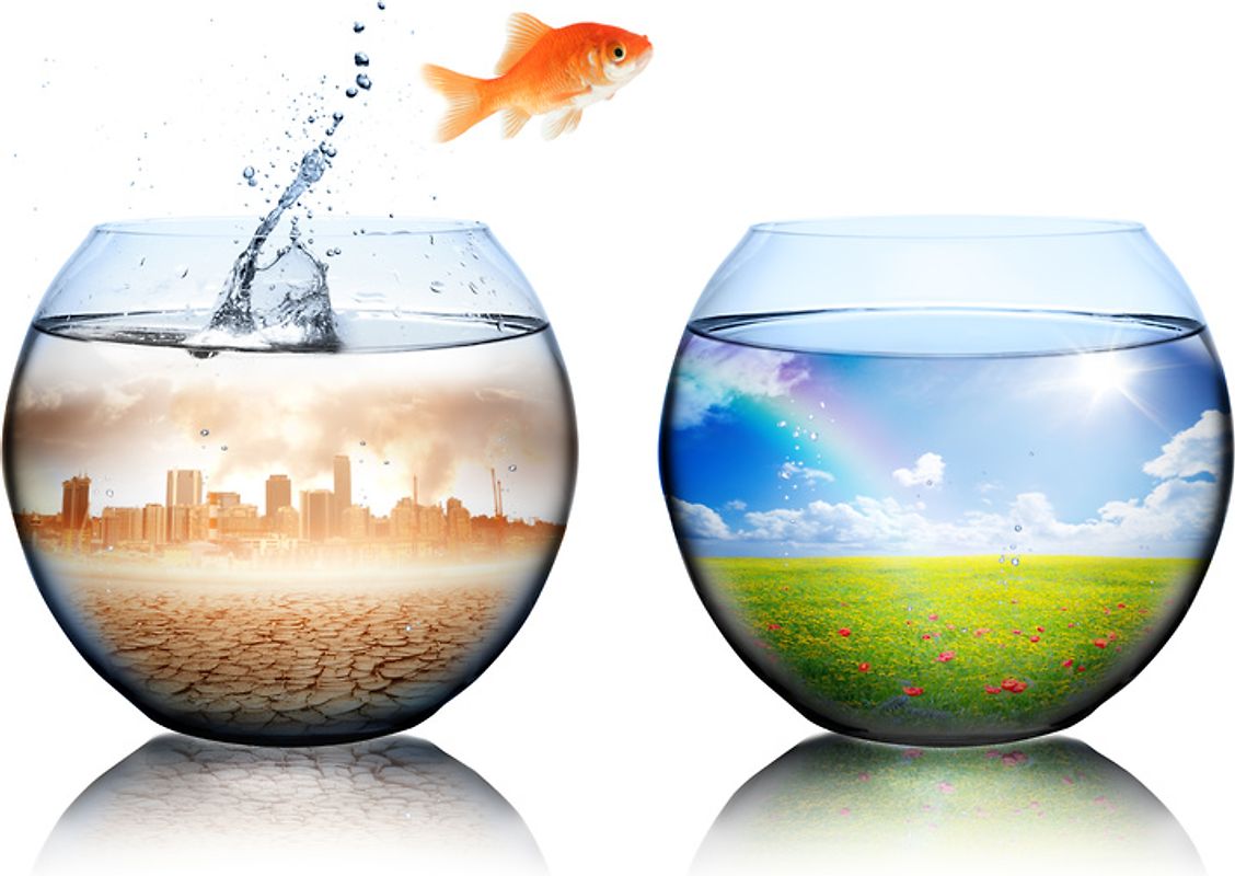 Musterhandbuch Umweltmanagement nach DIN EN ISO 14001:2015