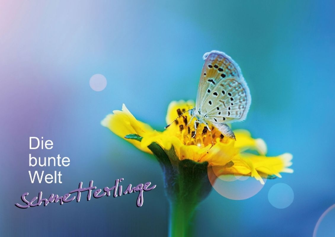 Die bunte Welt der Schmetterlinge (Posterbuch DIN A4 quer)