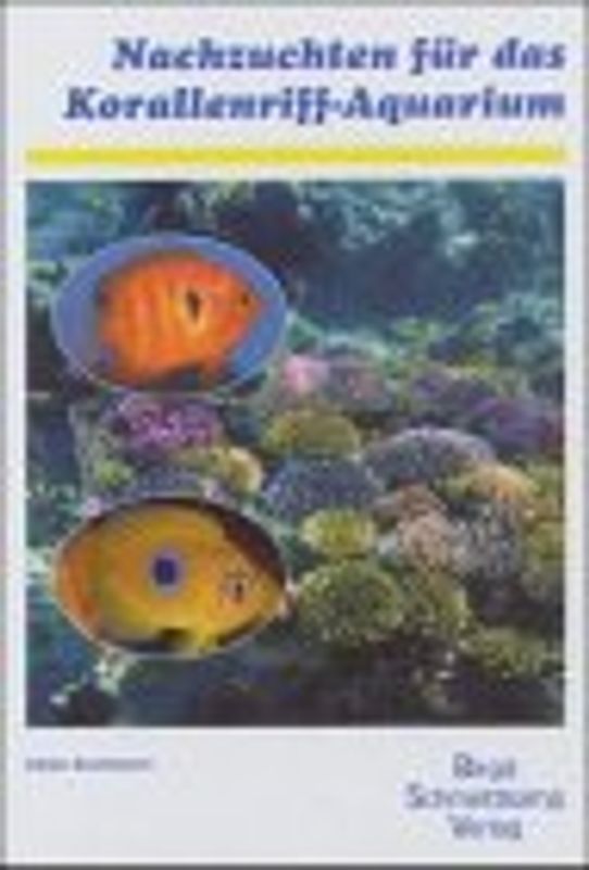 Nachzuchten für das Korallenriff-Aquarium