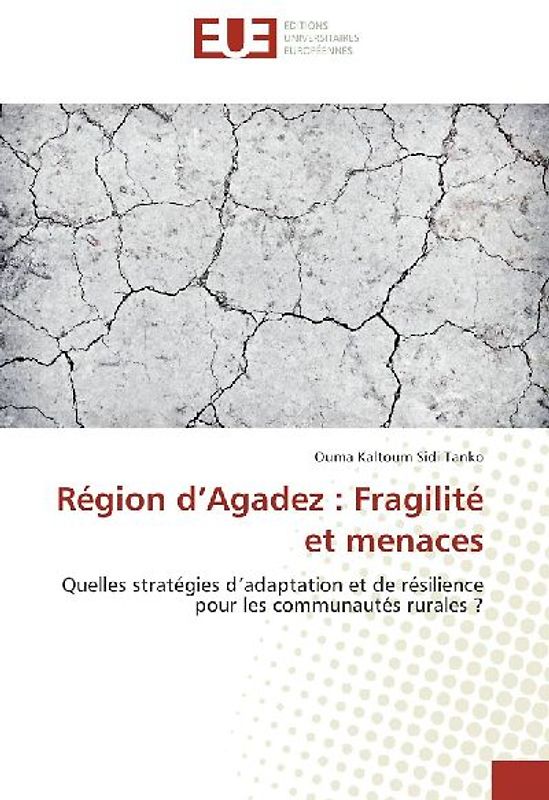 Région d¿Agadez : Fragilité et menaces