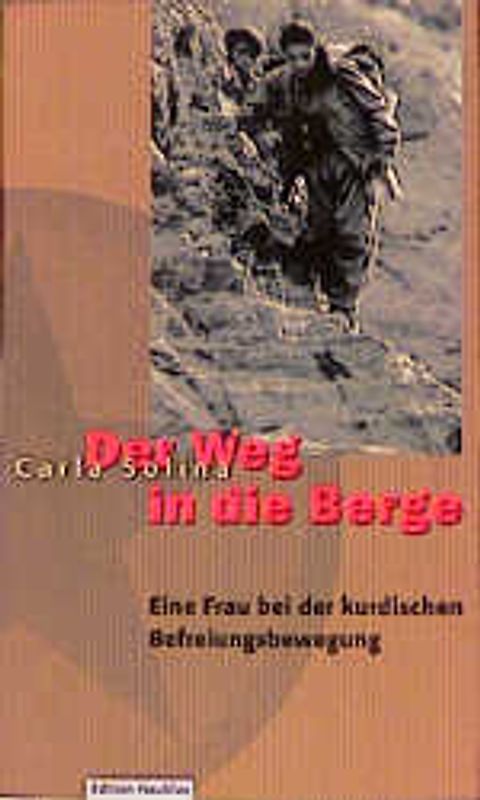 Der Weg in die Berge