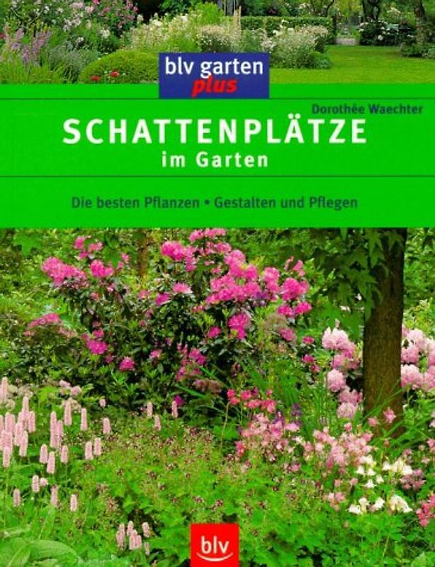Schattenplätze im Garten
