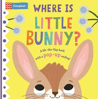 Where Is Little Bunny?