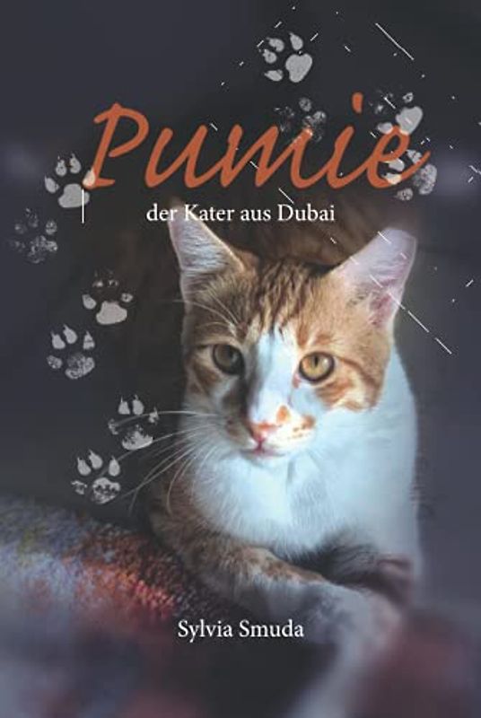 PUMIE, der Kater aus Dubai