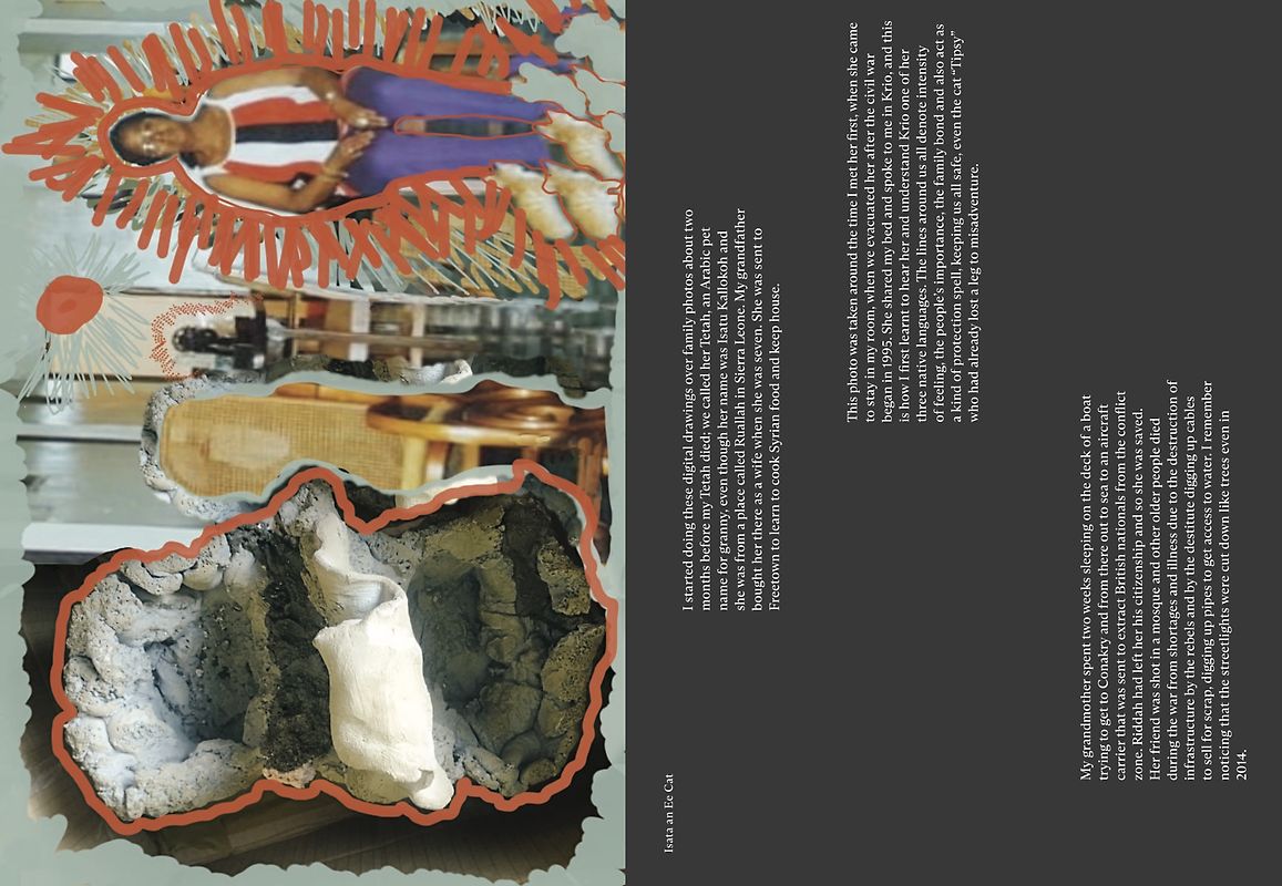 Das bunte Klavier. Müslis Liederbuch