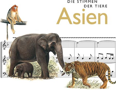 Die Stimmen der Tiere: Asien