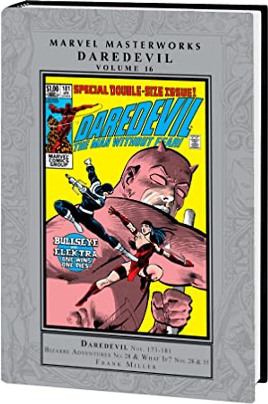 Marvel Masterworks: Daredevil Vol. 16 (Marvel Masterworks, 16)