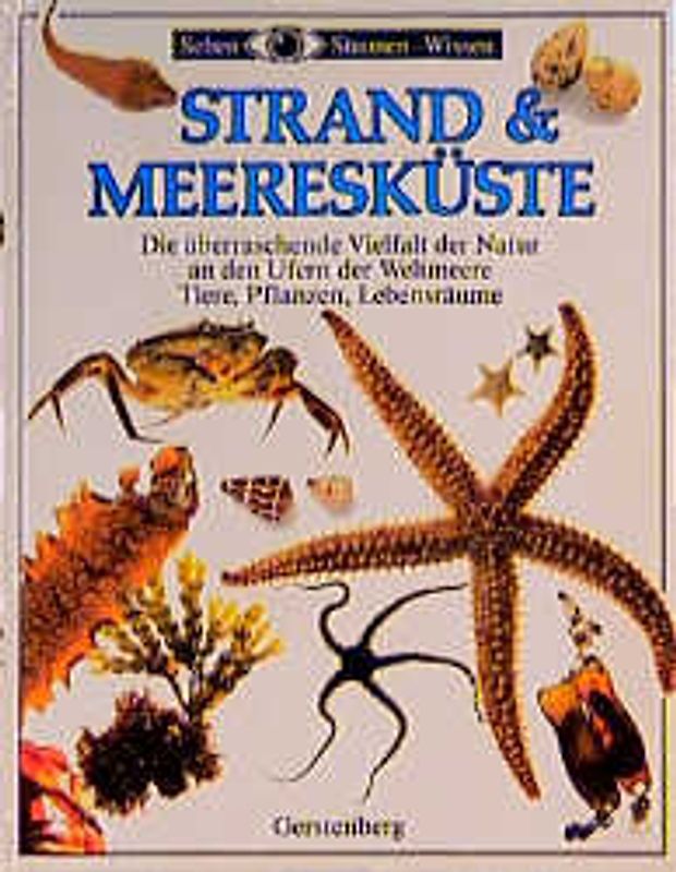 Strand & Meeresküste