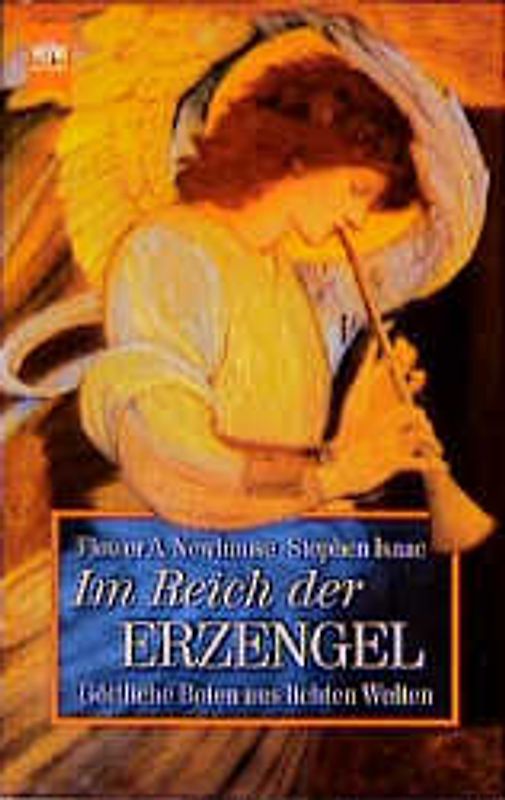 Im Reich der Erzengel. Göttliche Boten aus lichten Welten
