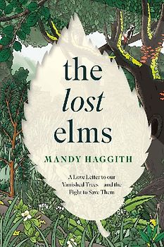 The Lost Elms