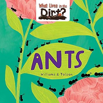 Ants (What Lives in the Dirt?)